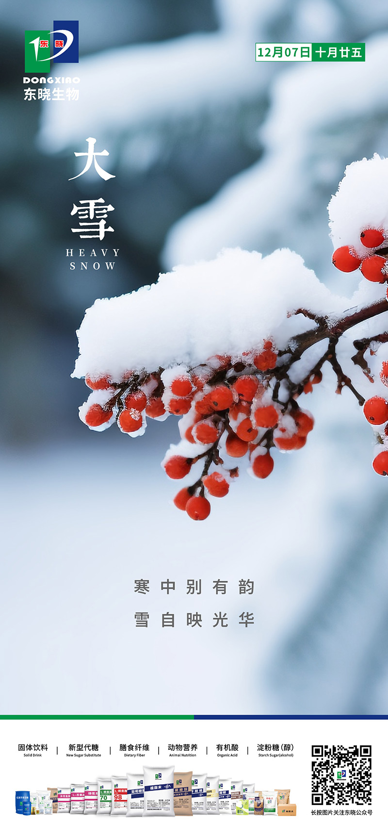 今日大雪 | 寒中别有韵，雪自映光华(图2)